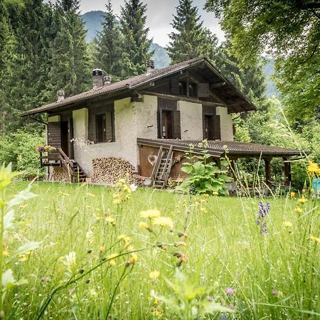 Chalet Silenthia Villa Lenzumo di Concei ภายนอก รูปภาพ