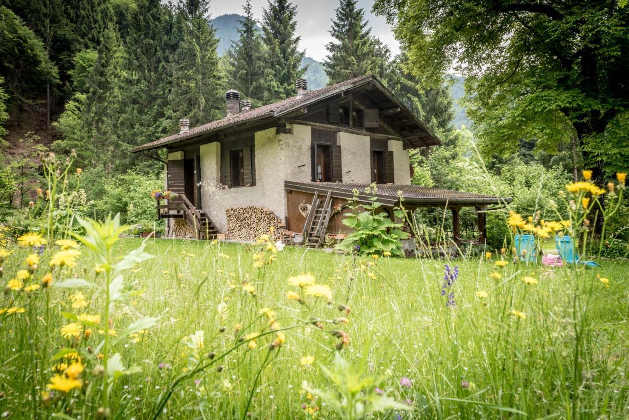 Chalet Silenthia Villa Lenzumo di Concei ภายนอก รูปภาพ