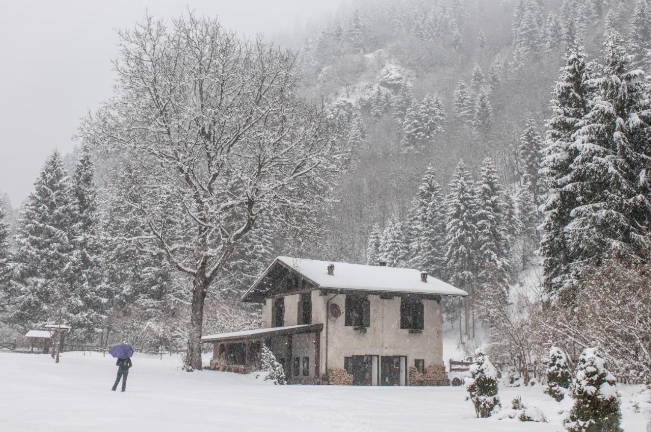 Chalet Silenthia Villa Lenzumo di Concei ภายนอก รูปภาพ